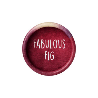 Fabulous Fig natuurlijke stick 40 gram deodorant van We Love the Planet