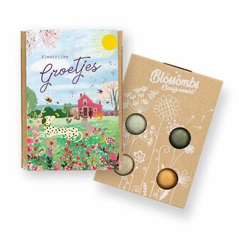 Blossombs mini giftbox Kleurrijke groetjes